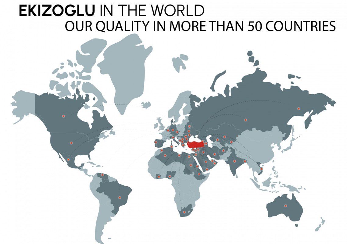 Ekizoglu World Map